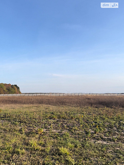 Продаж земельної ділянки 8.4 га Вінниця - фото 5