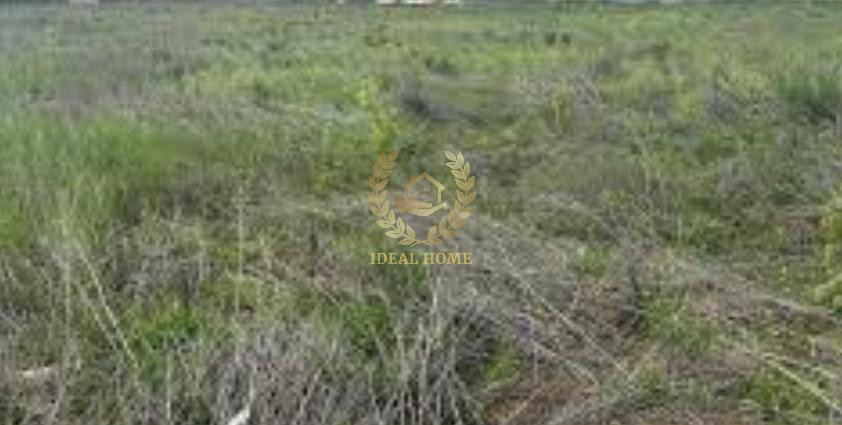 Продаж земельної ділянки 15 соток на Вишневая ул., 24 Kodra - photo 3