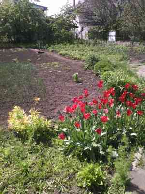 Продаж земельної ділянки 0 соток на ул. Тульская, 27 Odessa