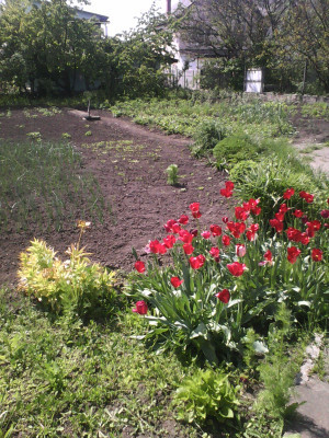 Продаж земельної ділянки 0 соток на ул. Тульская, 27 Одеса - фото 3