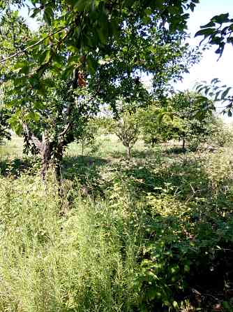 Продаж земельної ділянки 0 соток на ул. Каменистая, 21б Усатове