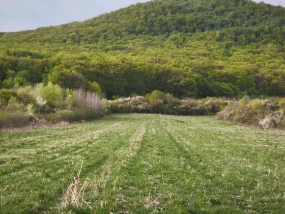 Продаж земельної ділянки Для будівництва приватного житлового будинку площа 7 сот Вільхова Ужгород