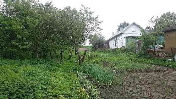 Продаж Будинок Pshenychnyky (Dolynskyi raion)