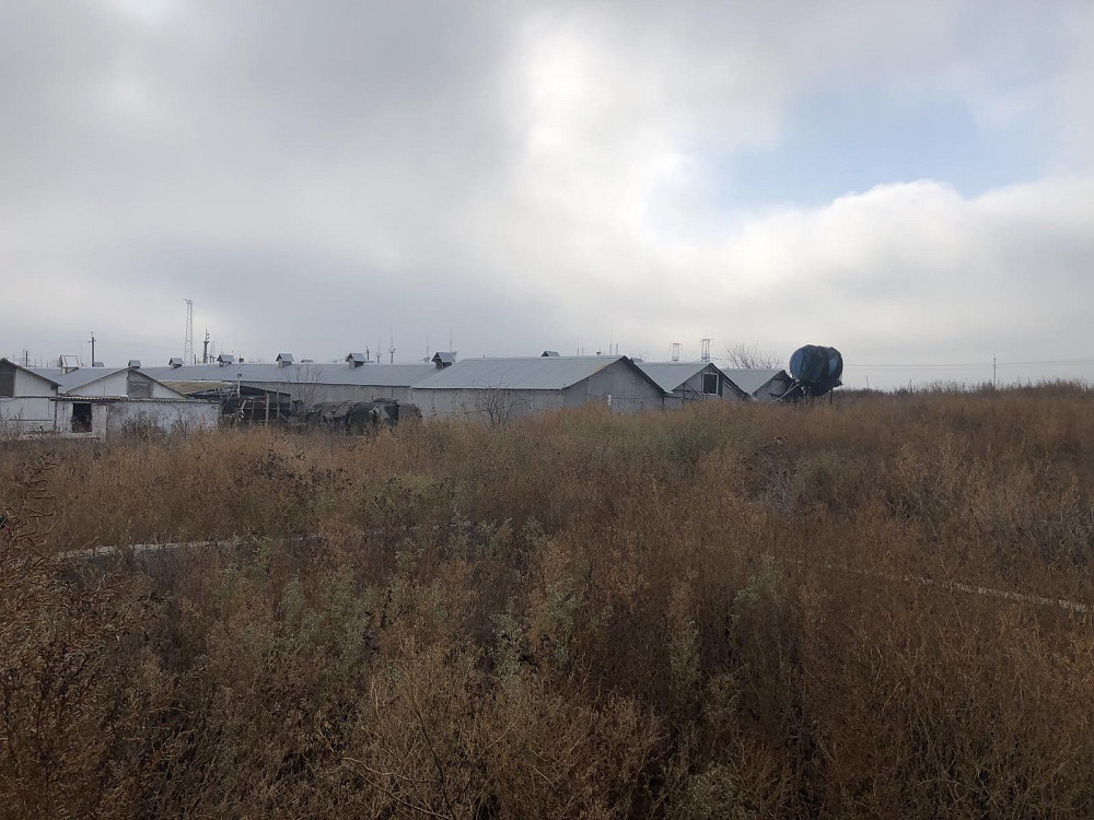 Продаж комерційне приміщення на ул. Хуторская, 3 приміщень - 4, поверх - 1 Мирне (Біляївський район) - фото 4