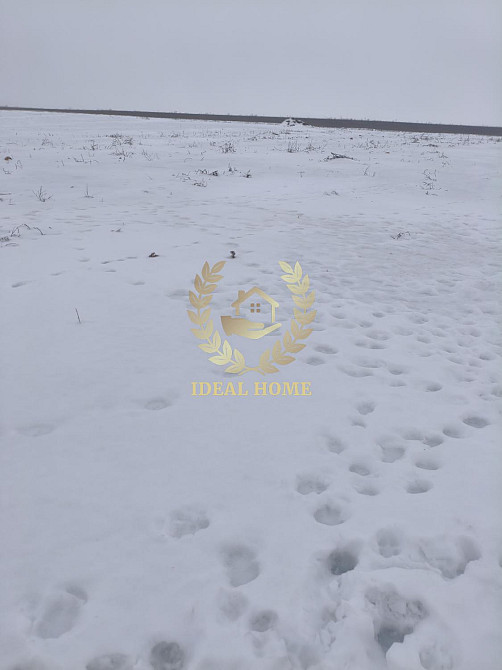 Продаж земельної ділянки 29 соток на Колхозная ул., 19 Устимівка - фото 11