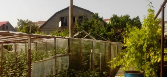 Продаж земельної ділянки 0.1 соток на ул. Костанди, 100 Одесса