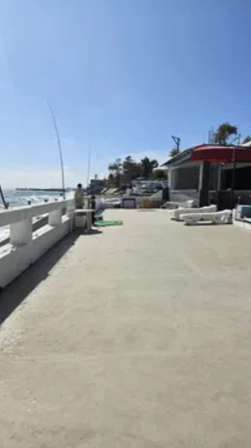 Продаж Будинок 2-кімнатний на ул. Причал 129, 84 Одеса - фото 7