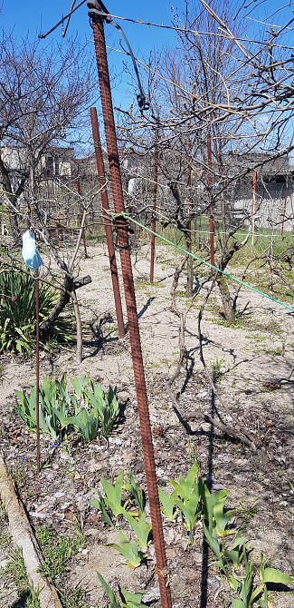 Дача  на морском побережье. Затока - фото 7