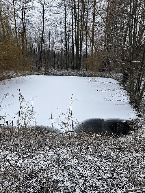 Продаж Будинок Селище (Козятинський район) - изображение 20