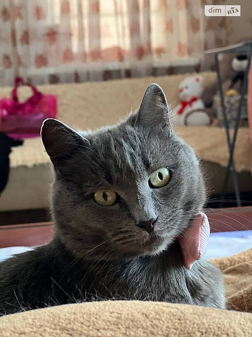 Продаж Квартира 2-кімнатна, 2/4 поверх Вінниця - фото 10