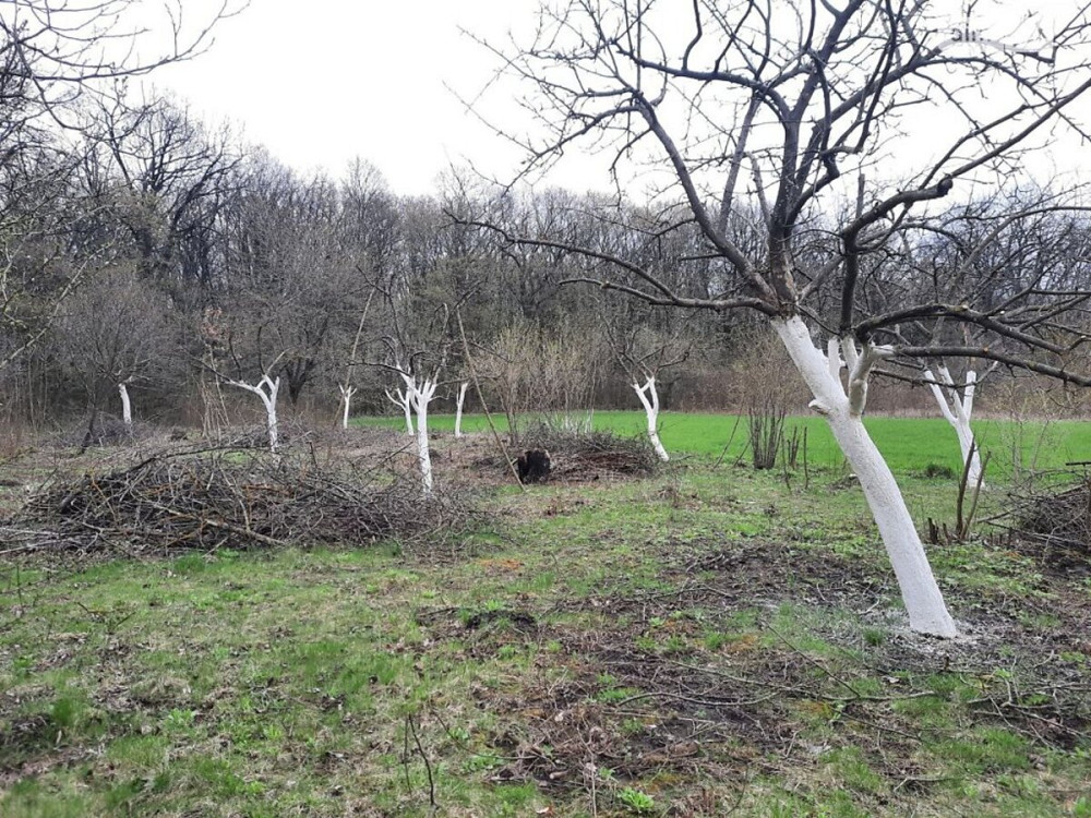 Продаж земельної ділянки 40 соток  - фото 4