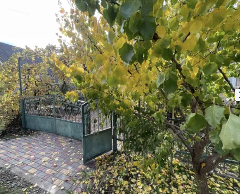 Продаж Будинок 3-кімнатний на ул. Торгова, 4 Pershotravneve (Izmailskyi raion) - photo 11