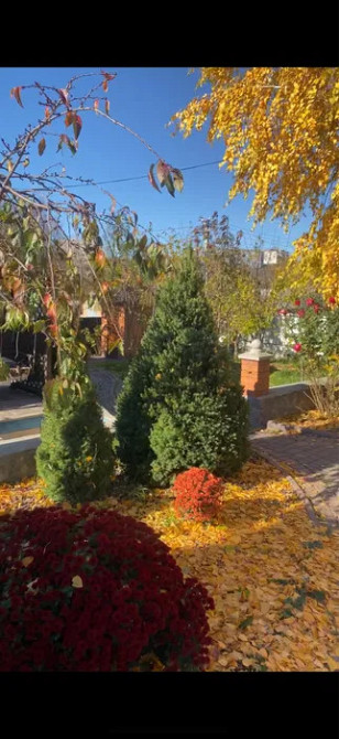 Продаж Будинок на Вулиця Театральна, (Леніна), 2 Кропивницький - фото 4