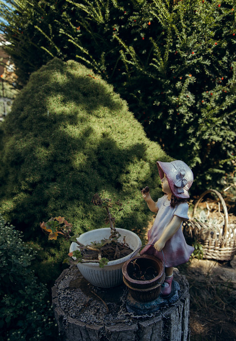 Дом-усадьба у моря и Дубовой рощи — место, где хочется жить Одеса - фото 15