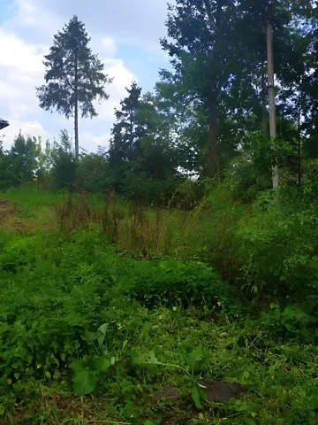 Продажа земельного участка  площадь 25 сот Галицька вулиця  - изображение 14