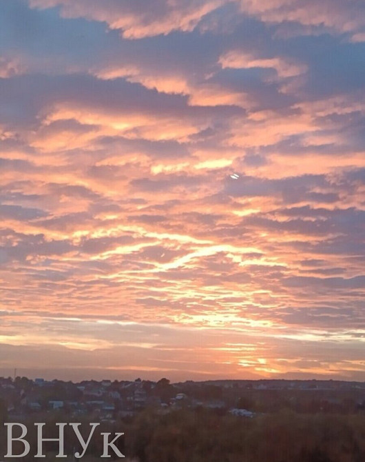 Продаж Квартира 1-кімнатна, 8/10 поверх на вул. Микулинецька Тернопіль - фото 15