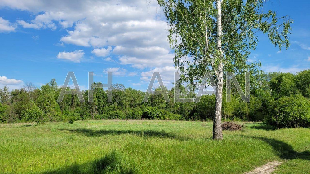 Продаж земельної ділянки 43.15 соток на вул. Лісна Таценки - фото 8