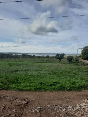 Продаж земельної ділянки 0.75 соток на ул. Массив 828, 7 Іллінка - фото 3