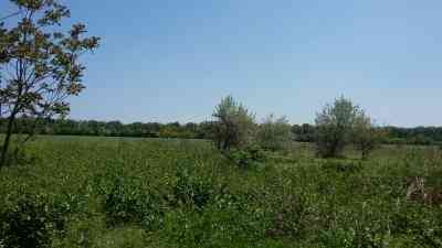 Предлагается к продаже частный дом в Мариновке на участке 50 соток Мариновка