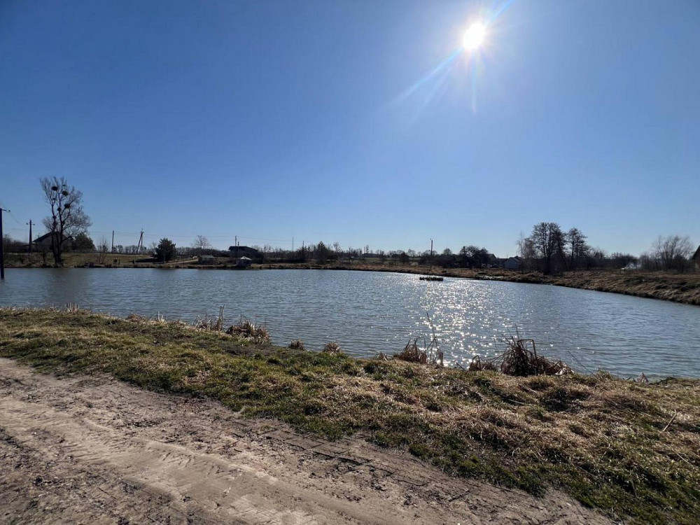 Продаж земельної ділянки 21 соток Чішки - фото 1