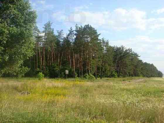 Продаж земельної ділянки 25 соток 