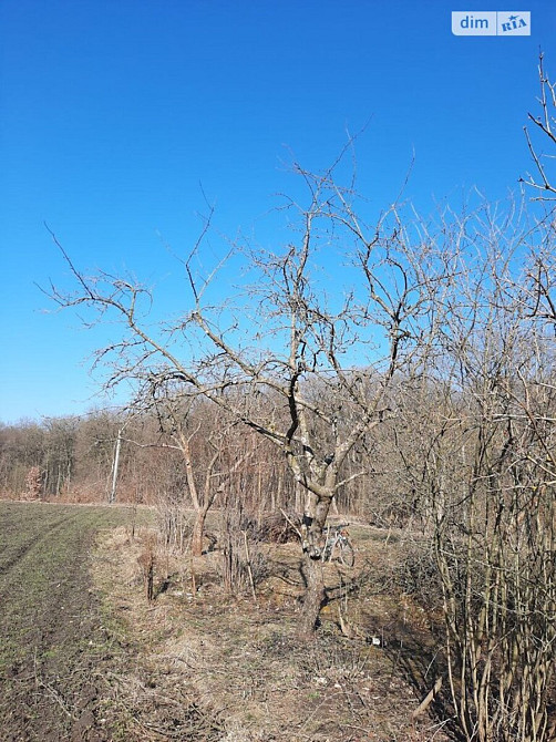 Продаж земельної ділянки 40 соток  - фото 3