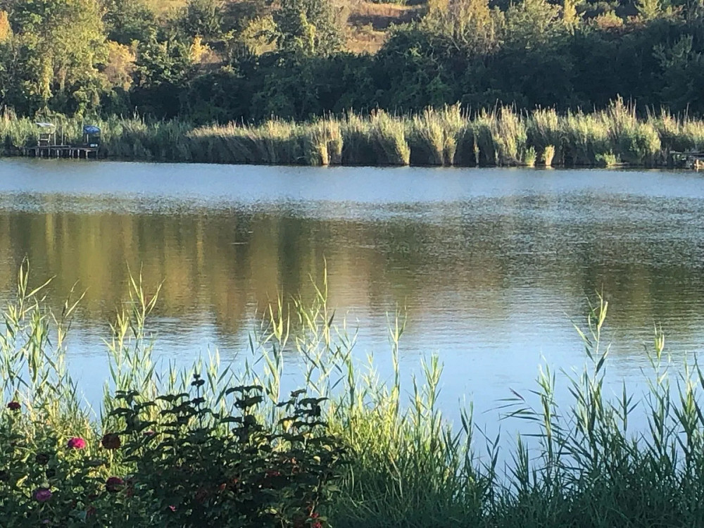 Продається будинок із садом та виходом до річки Високі Байраки - фото 10