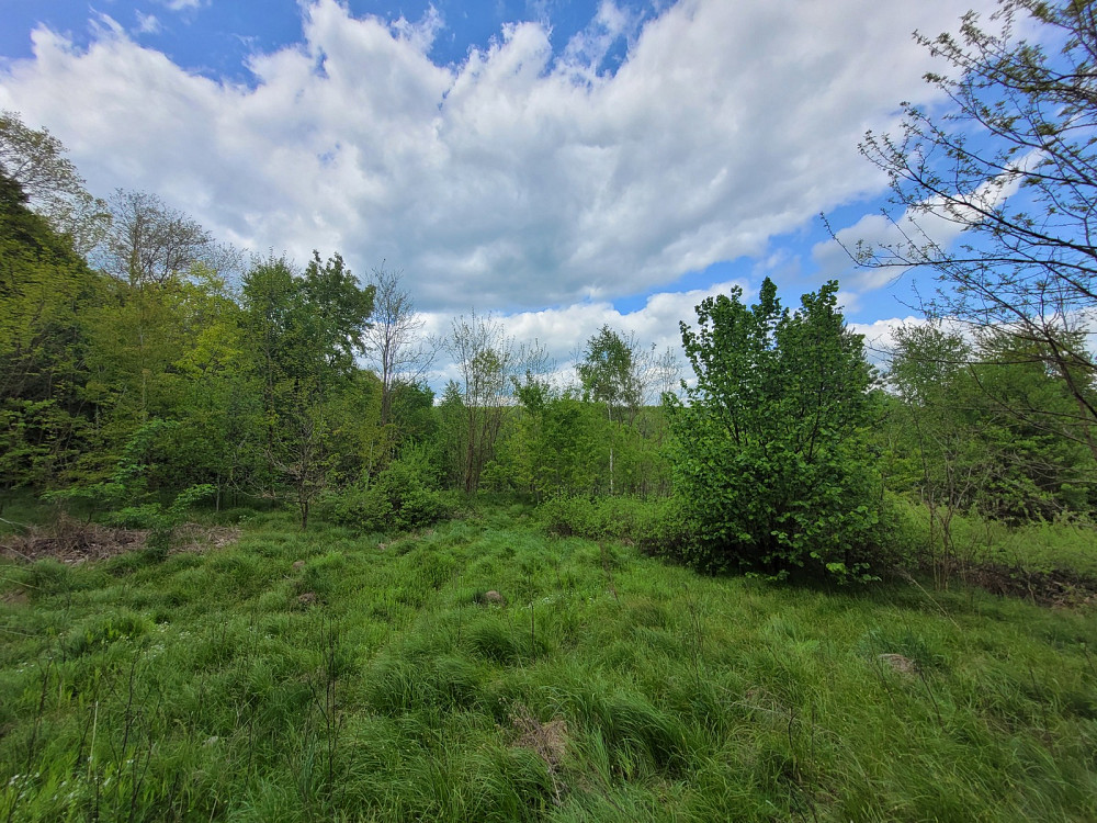 Продаж земельної ділянки 1.25 га на Франка Pavlivka - photo 17