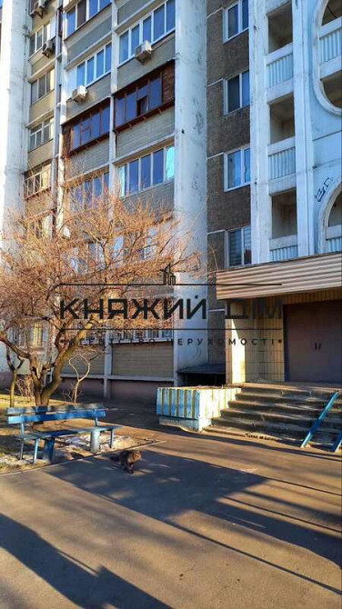 Оренда Квартира 1-кімнатна, 3/12 поверх на Алма-Атинская ул. Киев - изображение 5