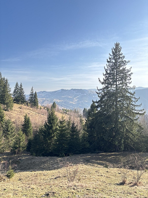 Продаж земельної ділянки 31 соток Verkhovyna - photo 3