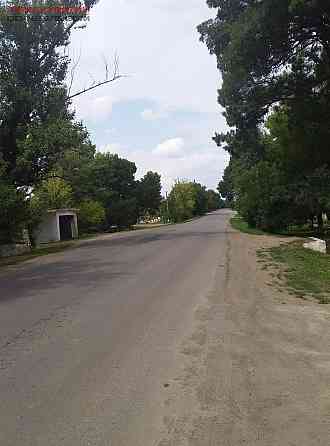 Хозяйский дом С УЧАСТКОМ в Еремеевке Yeremiivka