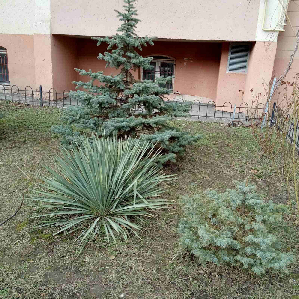 2-х комнатная квартира в кирпичном доме на Фонтане Одеса - фото 16