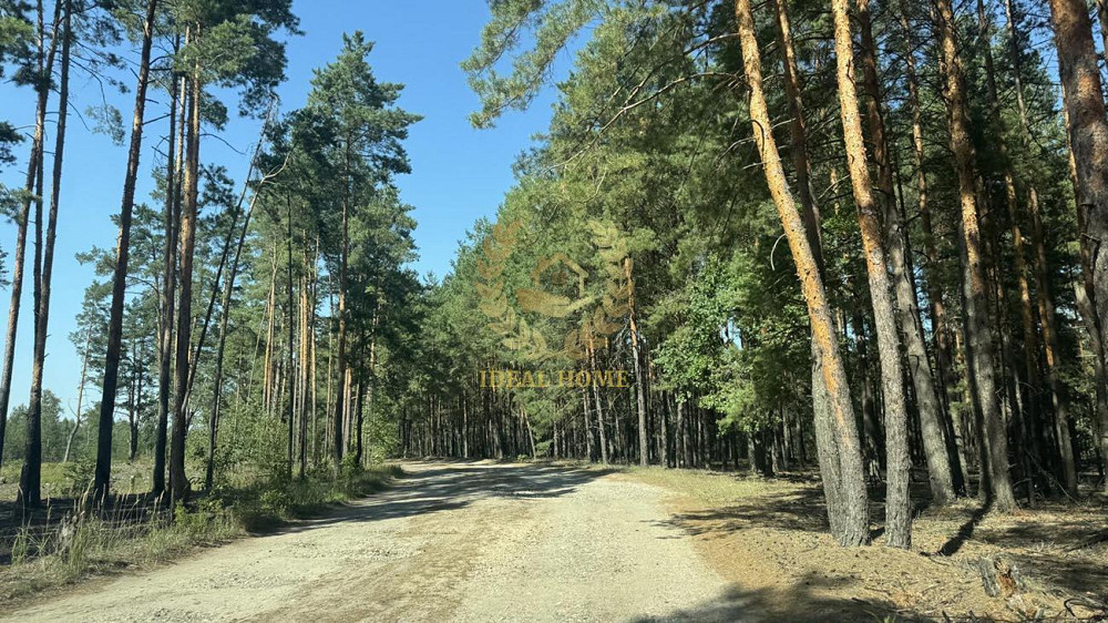 Продаж земельної ділянки 9.46 соток на Мира ул. Федорівка (Іванківський район) - фото 9