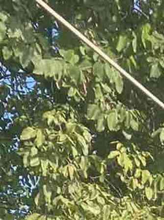 Продаж земельної ділянки 0.1 соток на ул. Новоселов, 6 Одеса