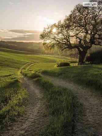 Продаж земельної ділянки 1.7 га 