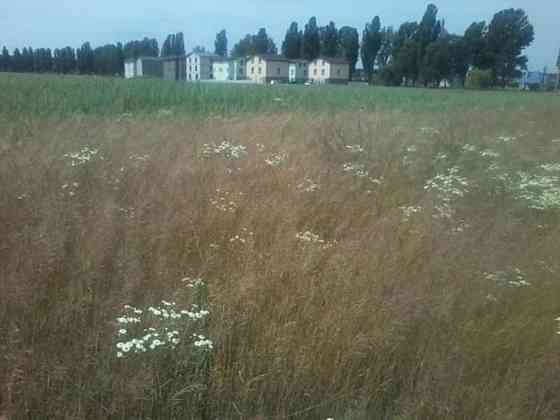 Продаж земельної ділянки 3.39 га 