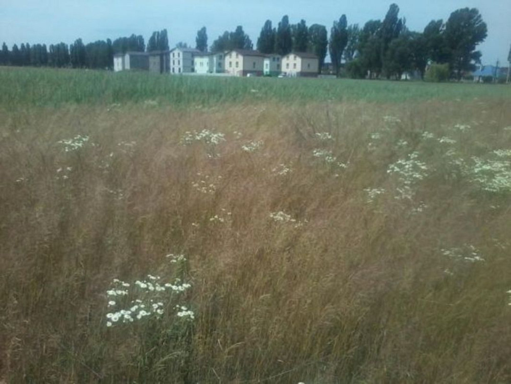 Продаж земельної ділянки 3.39 га  - фото 1