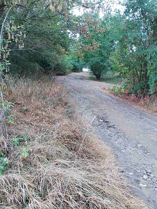 Продаж Будинок Ostapkivtsi - photo 19