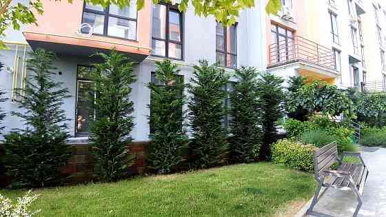 Просторная квартира с террасой в Крыжановке — 15 минут до моря Крижанівка (Комінтернівський район)