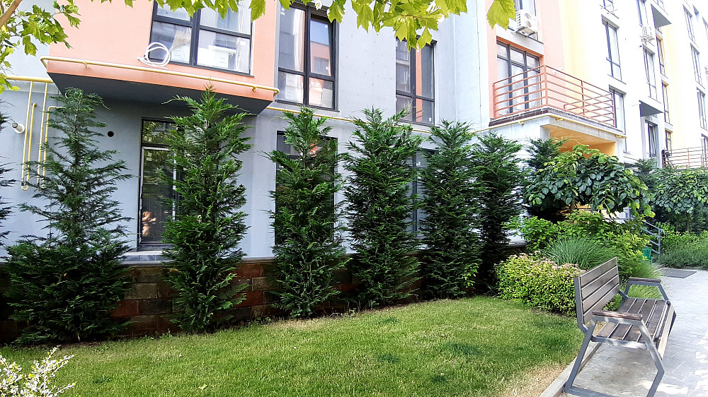 Просторная квартира с террасой в Крыжановке — 15 минут до моря Крижанівка (Комінтернівський район) - фото 3