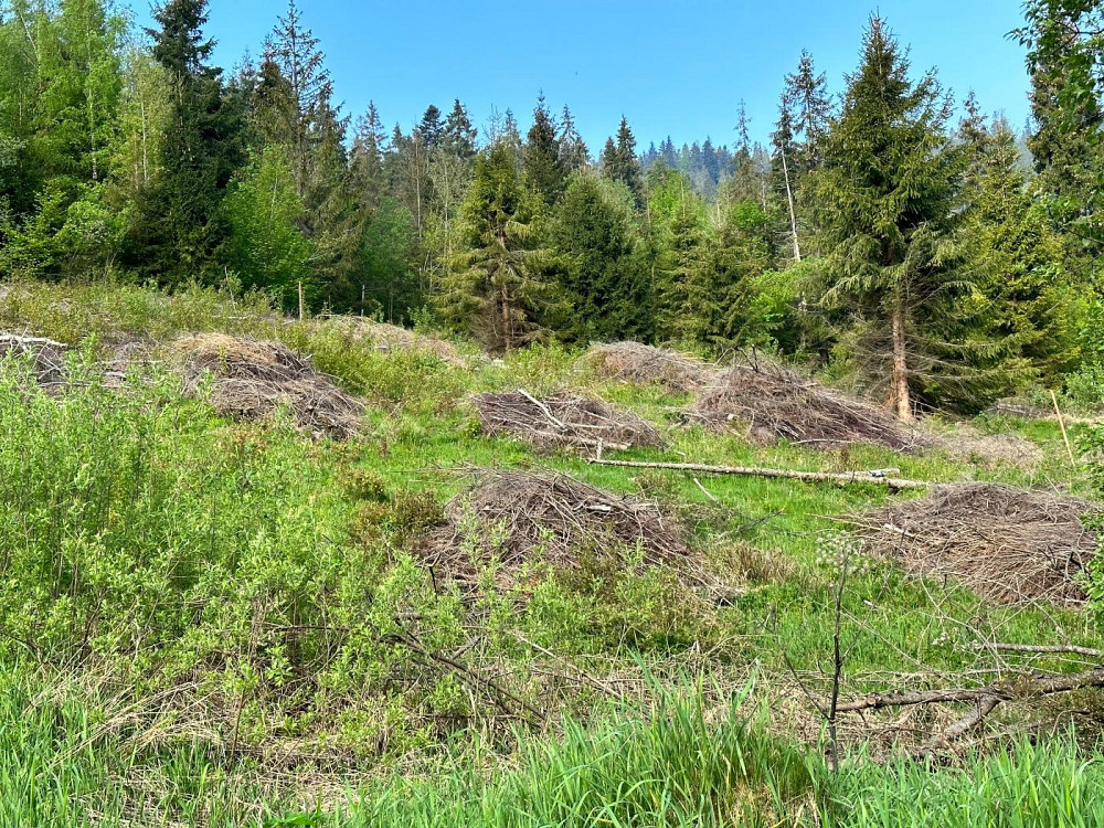 Продаж земельної ділянки 30 соток на вул. Під митою Орявчик - фото 2