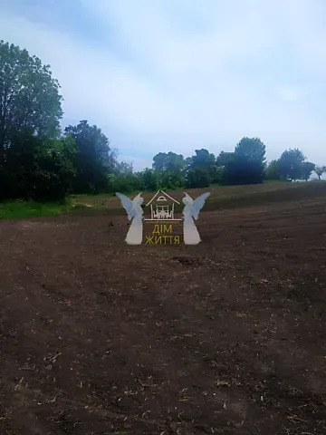 Продажа земельного участка  площадь 27 сот Гайова вулиця  - изображение 8