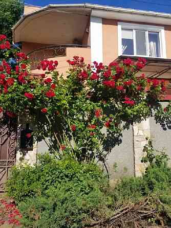 Продается дом на Таирова с ремонтом и большим участком Limanka