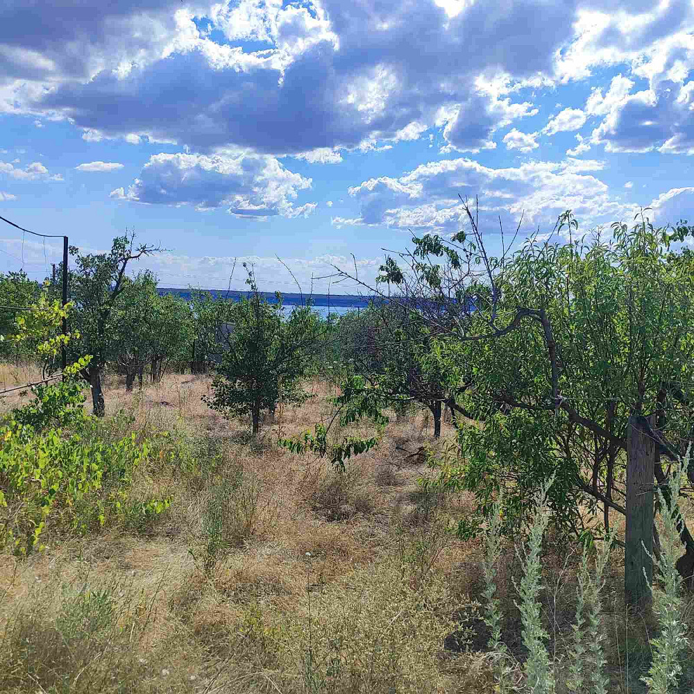 Продам летний домик в СТ "Межлиманье"( Рядом "Лавандия") Протопопівка - фото 11