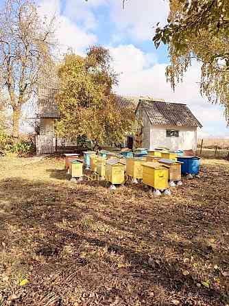 Продаж будинку в Великій Березянці Велика Березянка