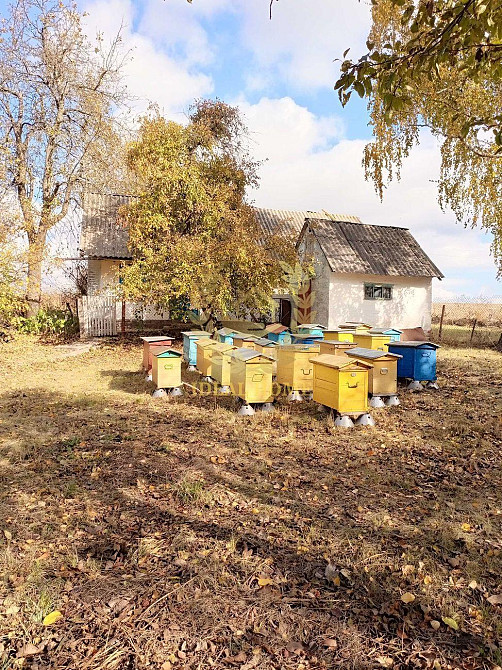 Продаж будинку в Великій Березянці Велика Березянка - фото 4