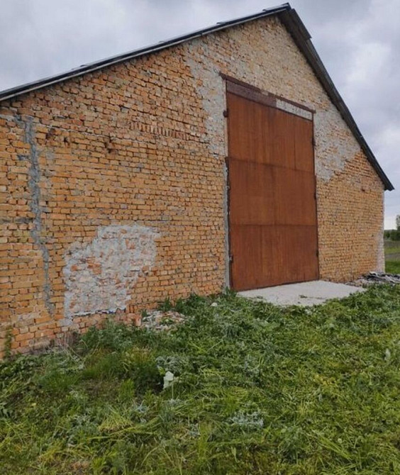 Продаж приміщення вільного призначення на Молодіжна вул., 1а поверх - 1/1 Плоске (Козивський район) - изображение 12