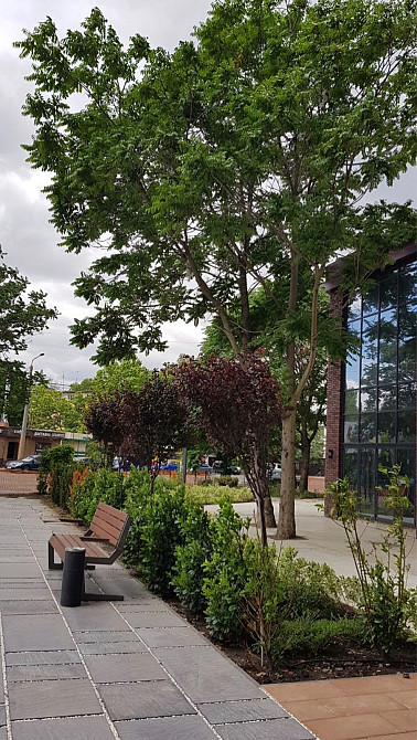 Оренда торгове приміщення на Филатова Академика ул., 2 поверх - 1/3 Одеса - фото 12