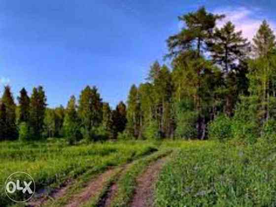 Продаж земельної ділянки 25 соток 