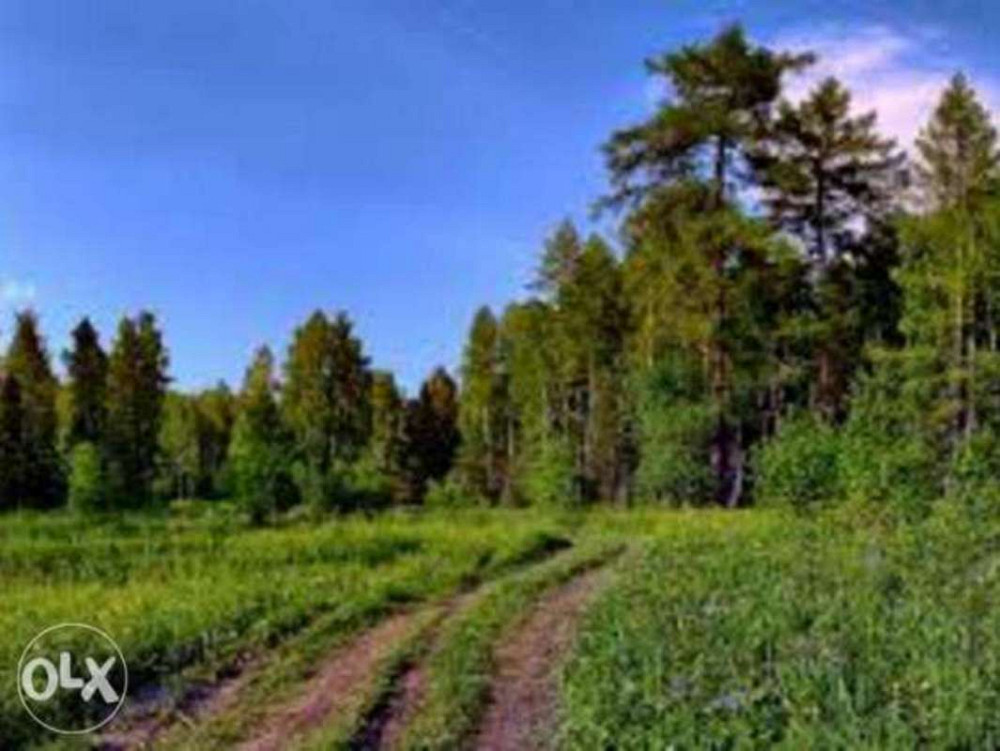 Продаж земельної ділянки 25 соток  - фото 1